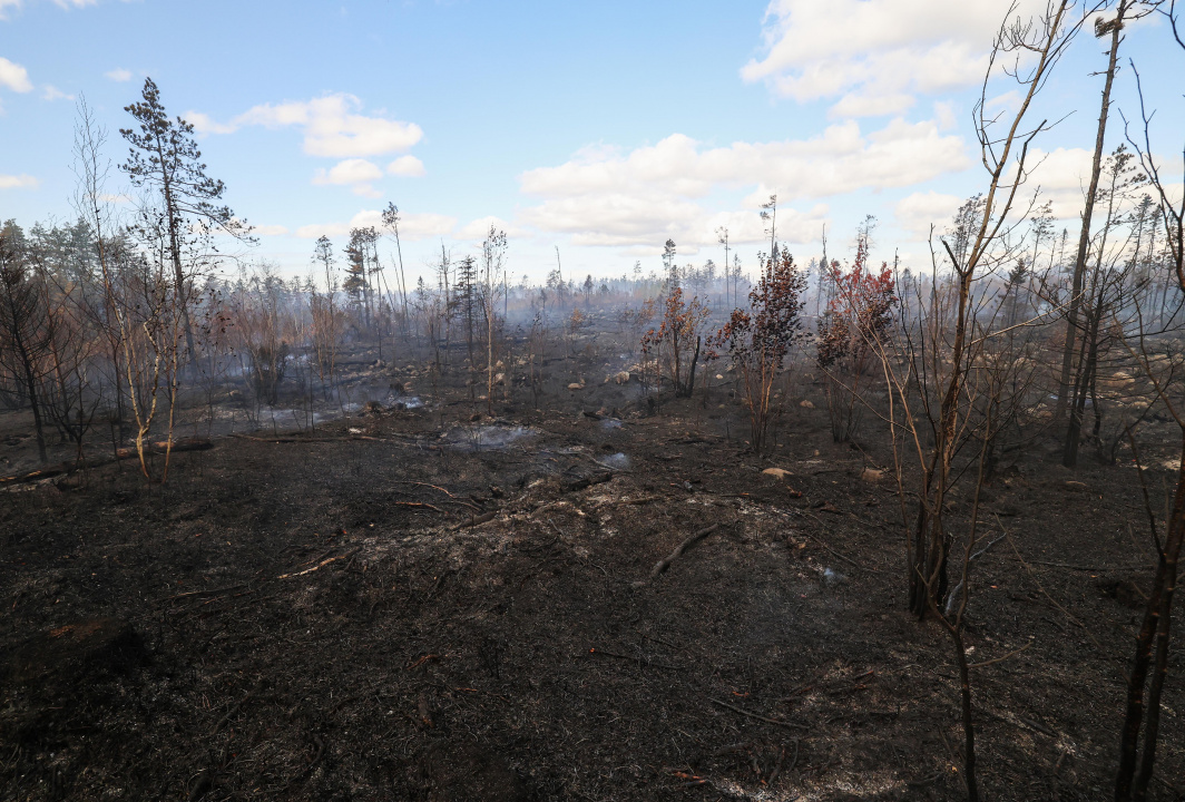 Wildfire response at Lake George, Kings County.