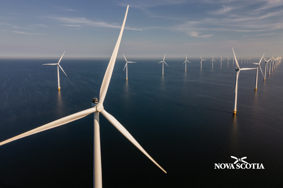 Wind turbines in the ocean