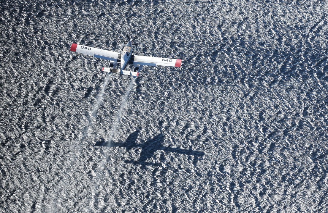 Aerial photo of a plane over Lake George 