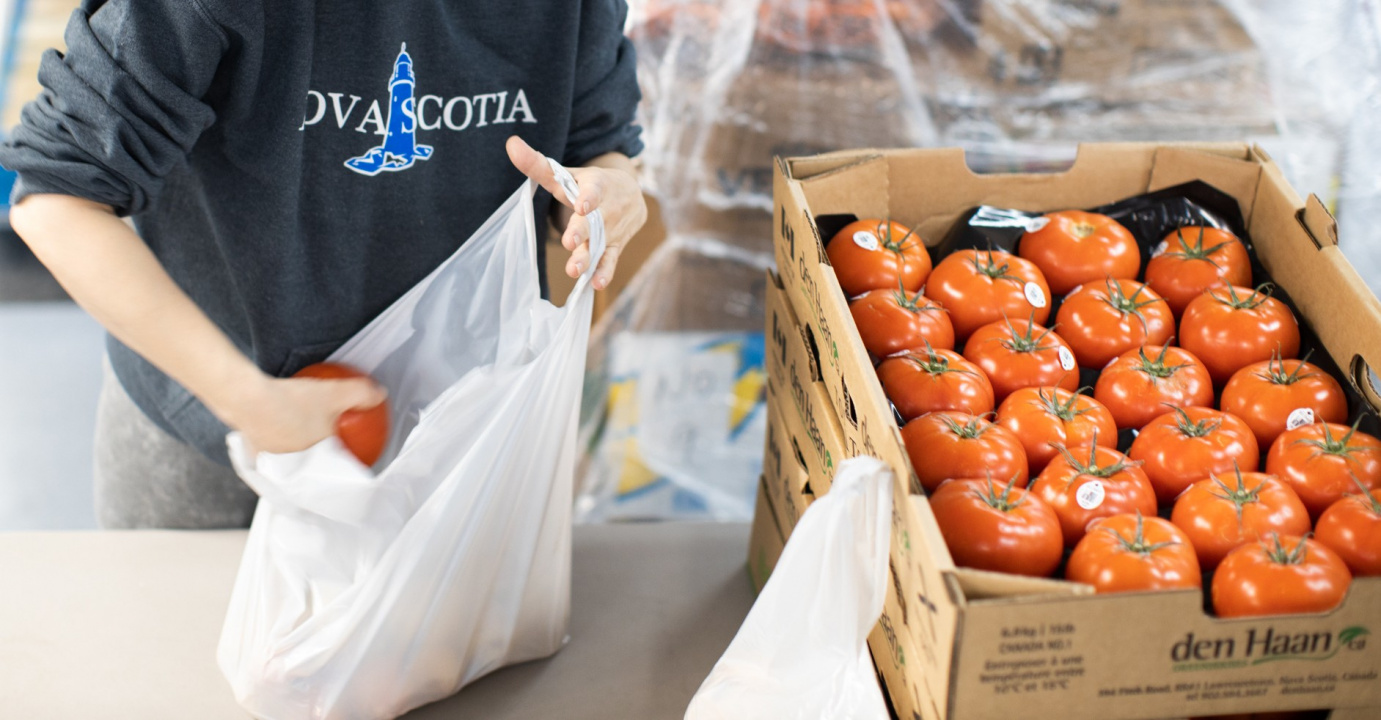 A person puts tomatoes from a box into a shopping bag.