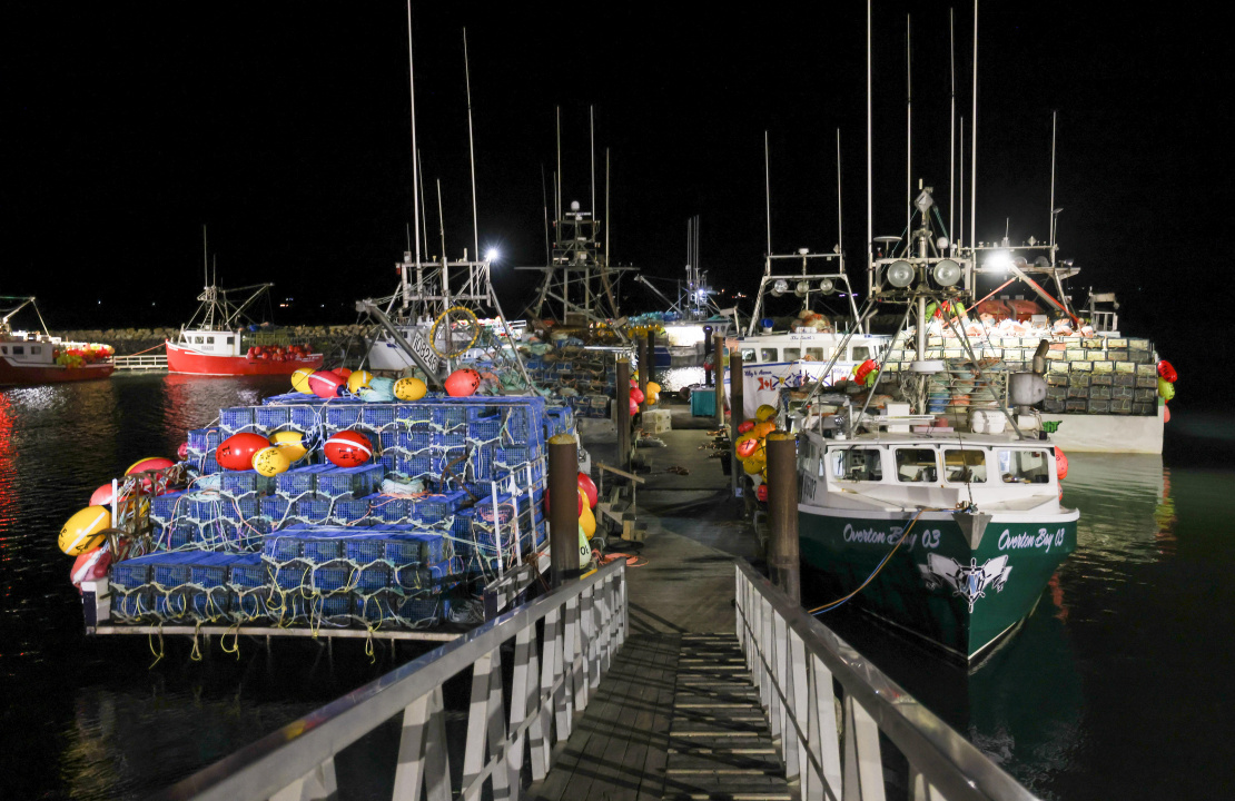 Lobster boats loaded with traps at a wharf