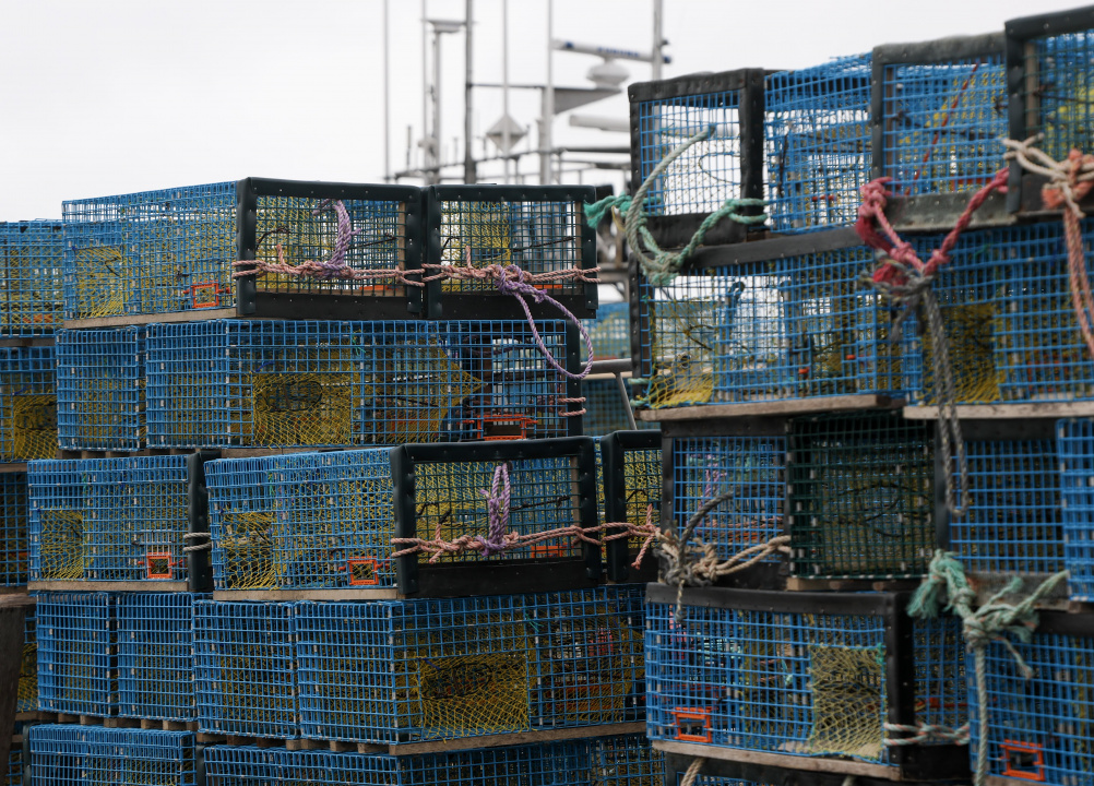 Lobster traps piled on a wharf