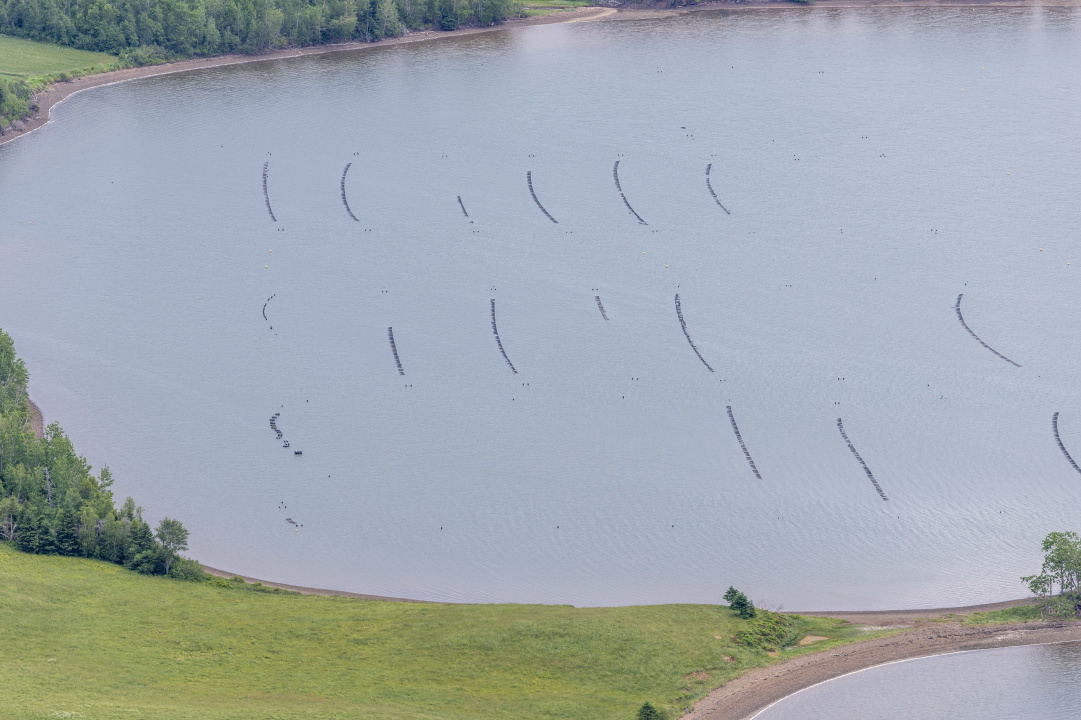 An aquaculture operation at Big Island, Pictou County.