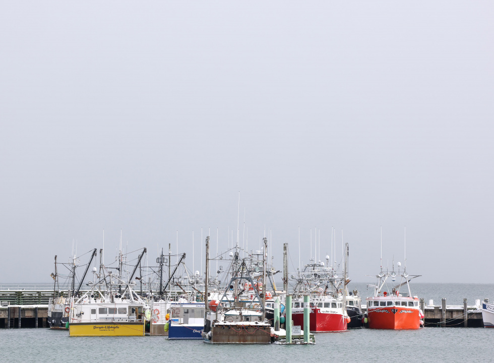 Boats moored at the Port of Digby.