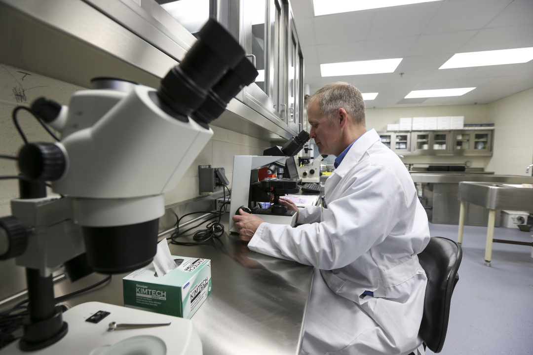 A person in a lab coat looking into a microscope