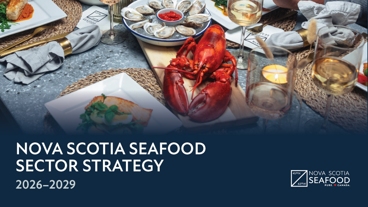 Graphic with image of lobster and other seafood and the words Nova Scotia Seafood Sector Strategy 2026-2029
