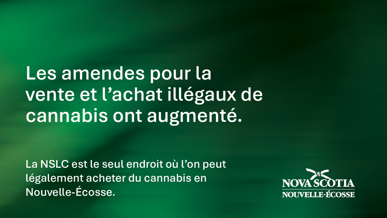 Illustration avec les mots « Les amendes pour la vente et l’achat illégaux de cannabis ont augmenté. La NSLC est le seul endroit où l’on peut légalement acheter du cannabis en Nouvelle-Écosse. » et le logo de la Province de la Nouvelle-Écosse