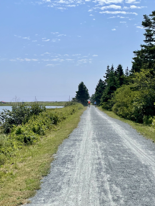 Cyclists on a trail