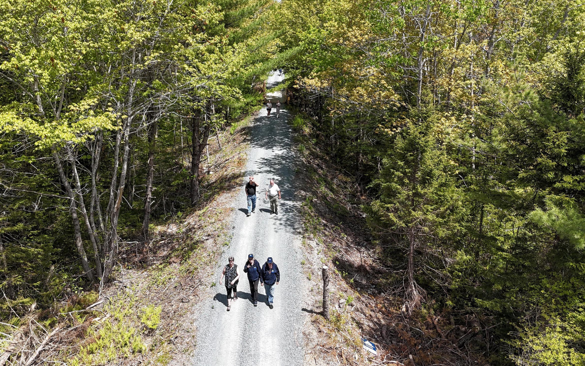 A group of people stroll along a trail.