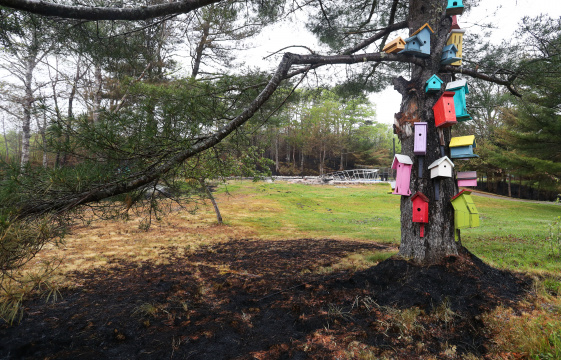 A Shelburne County property damaged in a 2023 wildfire.