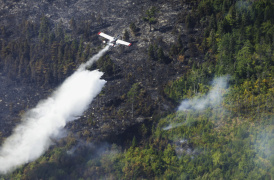 Aerial photo of an 802 plane dropping water on a forest fire