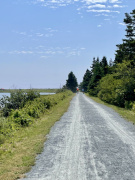 Cyclists on a trail