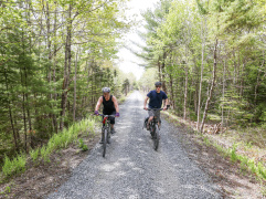 Two cyclists ride along a trail.