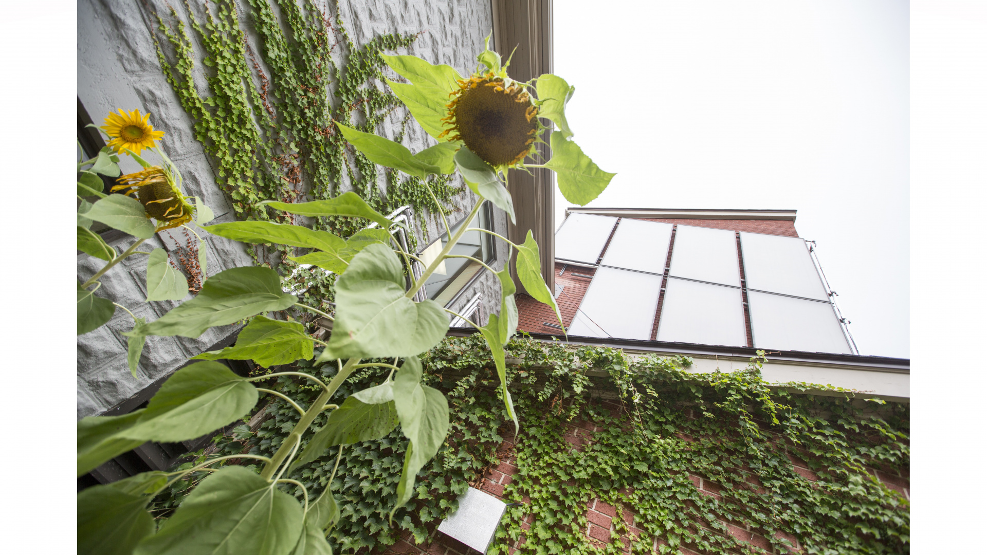 New Programs to Enhance Affordable Housing, Support Climate Change Goals New Programs to Enhance Affordable Housing, Support Climate Change Goals