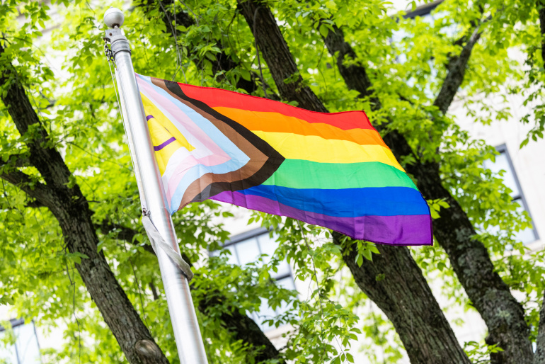 The Progress Pride flag